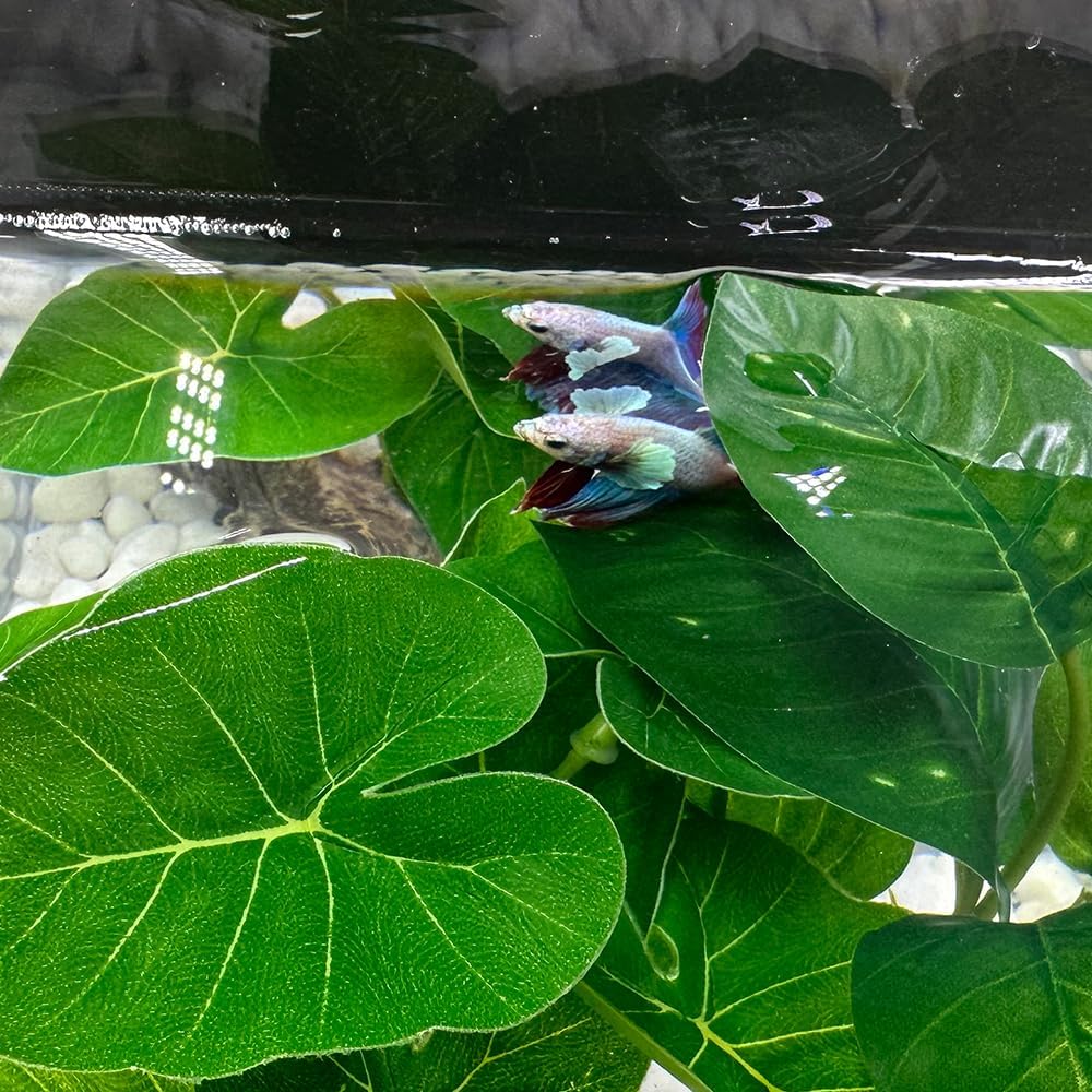 Fish Tank Decor Aquarium Decorations Ornaments Betta Leaf pad Hammock 6inch Plastic Artificial Plant Goldfish Fish
