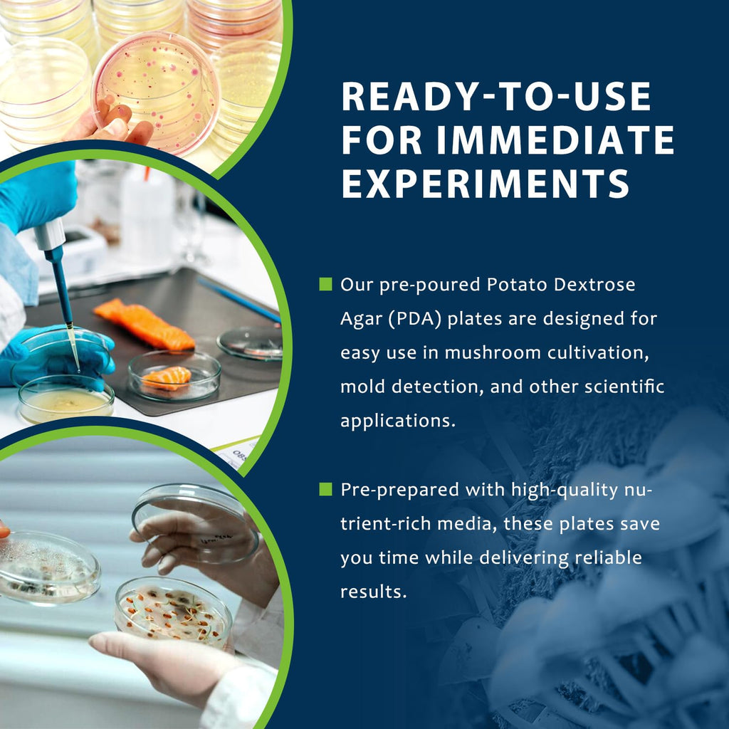 Potato Dextrose Agar(PDA) Plates for Mushroom Cultivation, Mold Detection 10 Pack, and Science Projects – Pre-Poured