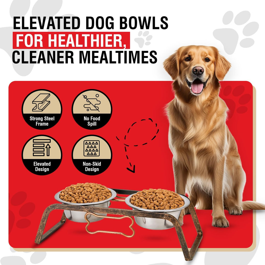Elevated Dog Bowls – Raised Stainless Steel Dog Bowls with Steel Stand – Non-Skid, No Spill Feeder for Small, Medium