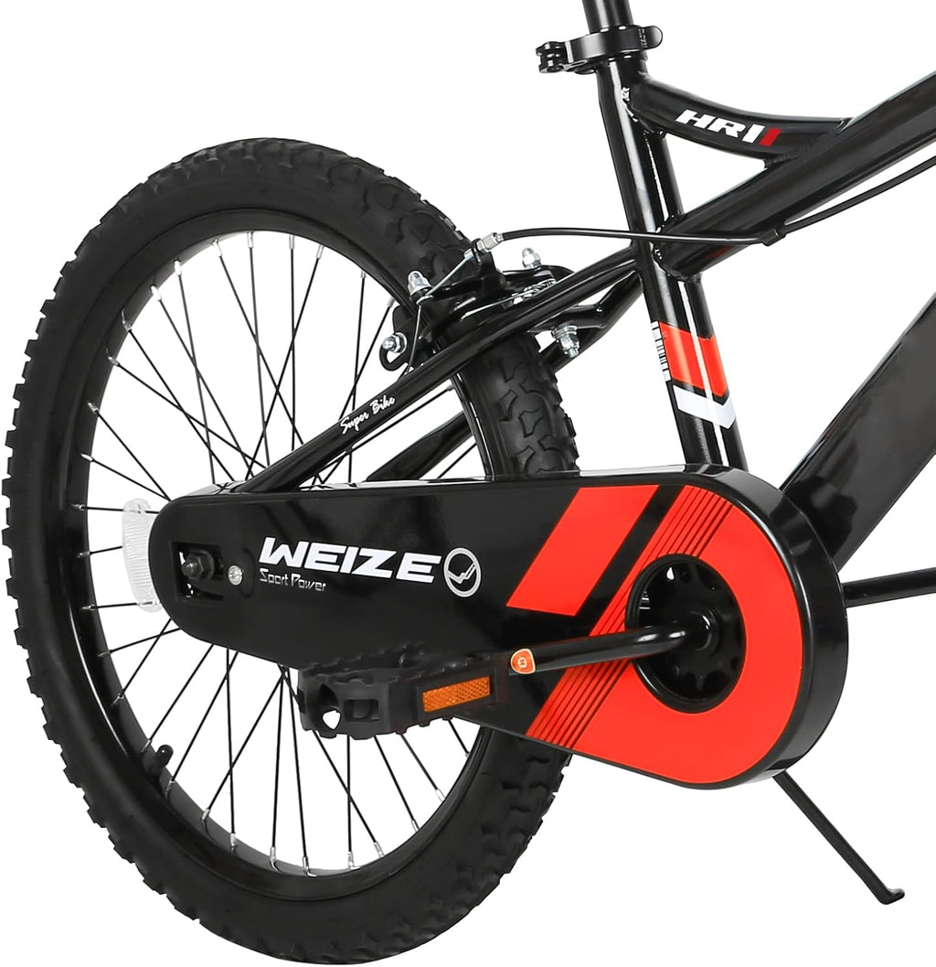 Kids Bike, 14 16 20 Inch Children Bicycle for Boys Girls Ages 4-12 Years Old Coaster Brake Multicolor