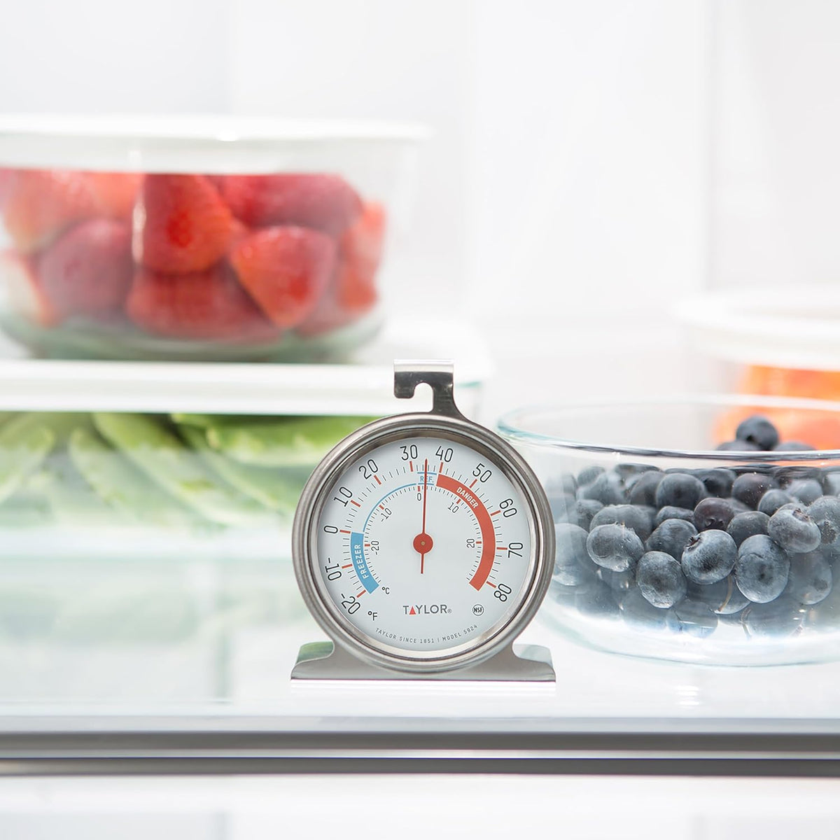 Analog Refrigerator Freezer Thermometer