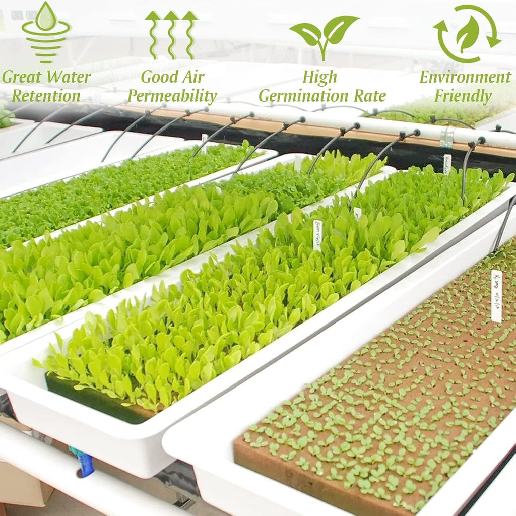 1 Inch Rockwool Cubes for Hydroponics, 100 Plugs Seed Starter Cube | High Germination Rate for Vegetables & Herbs