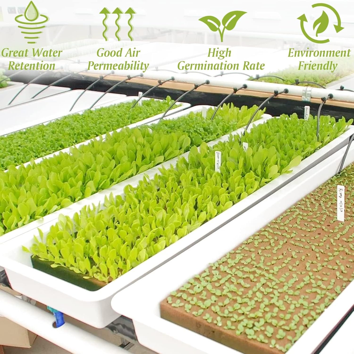 1 Inch Rockwool Cubes for Hydroponics, 100 Plugs Seed Starter Cube | High Germination Rate for Vegetables & Herbs