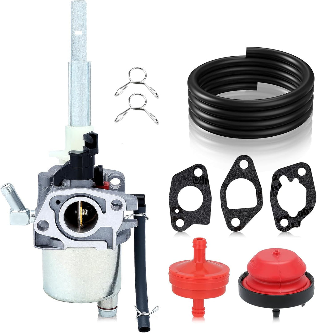 Hipa 20001368 Carburetor Kit for Arien 20001027 920025 920021 Snow Blower