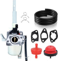 Hipa 20001368 Carburetor Kit for Arien 20001027 920025 920021 Snow Blower