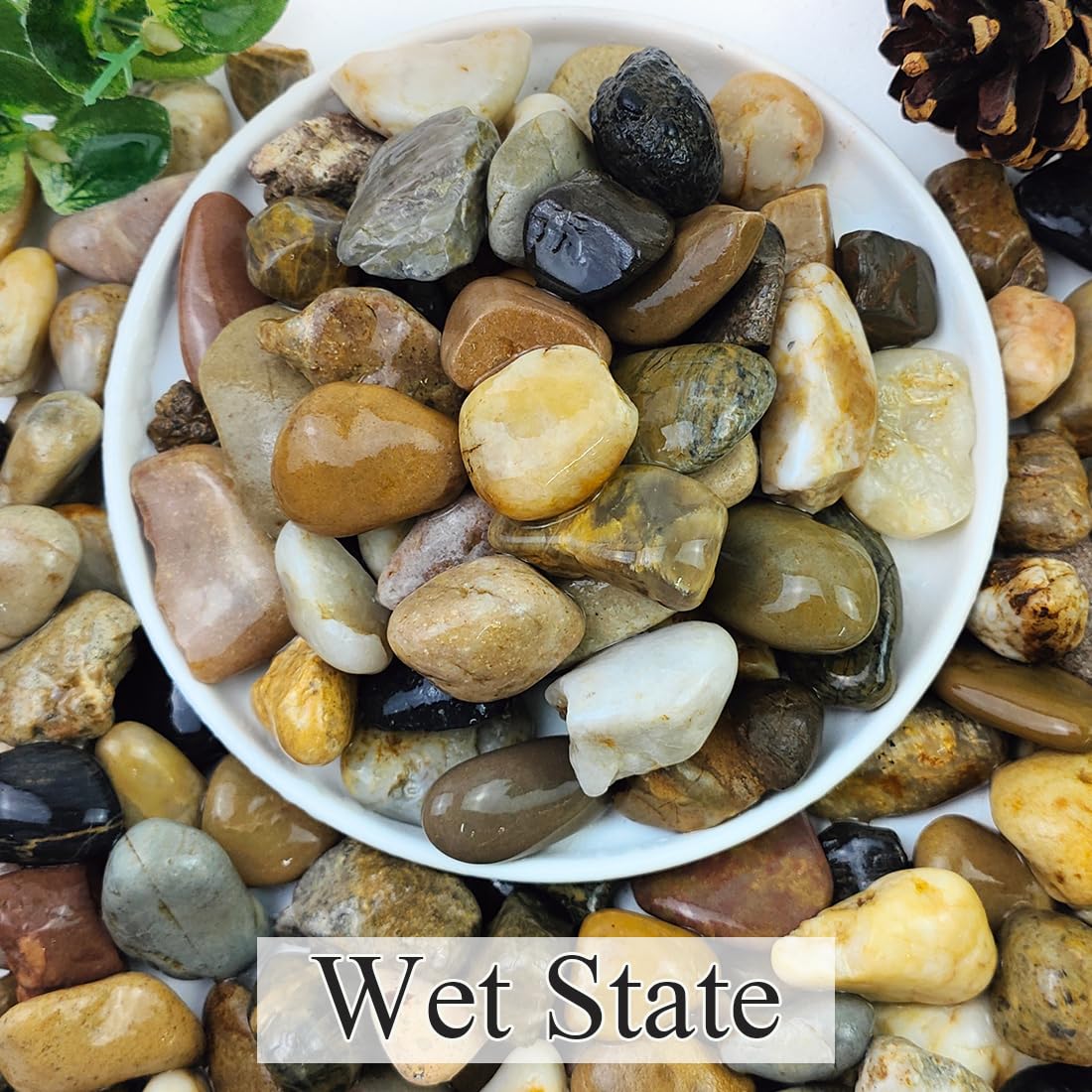 2lbs Aquarium Rocks, 5/8" Natural Mixed Pebbles for Plants