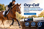 Electro-Boost Oxy-Cell Electrolyte Paste for Horses, 80ml