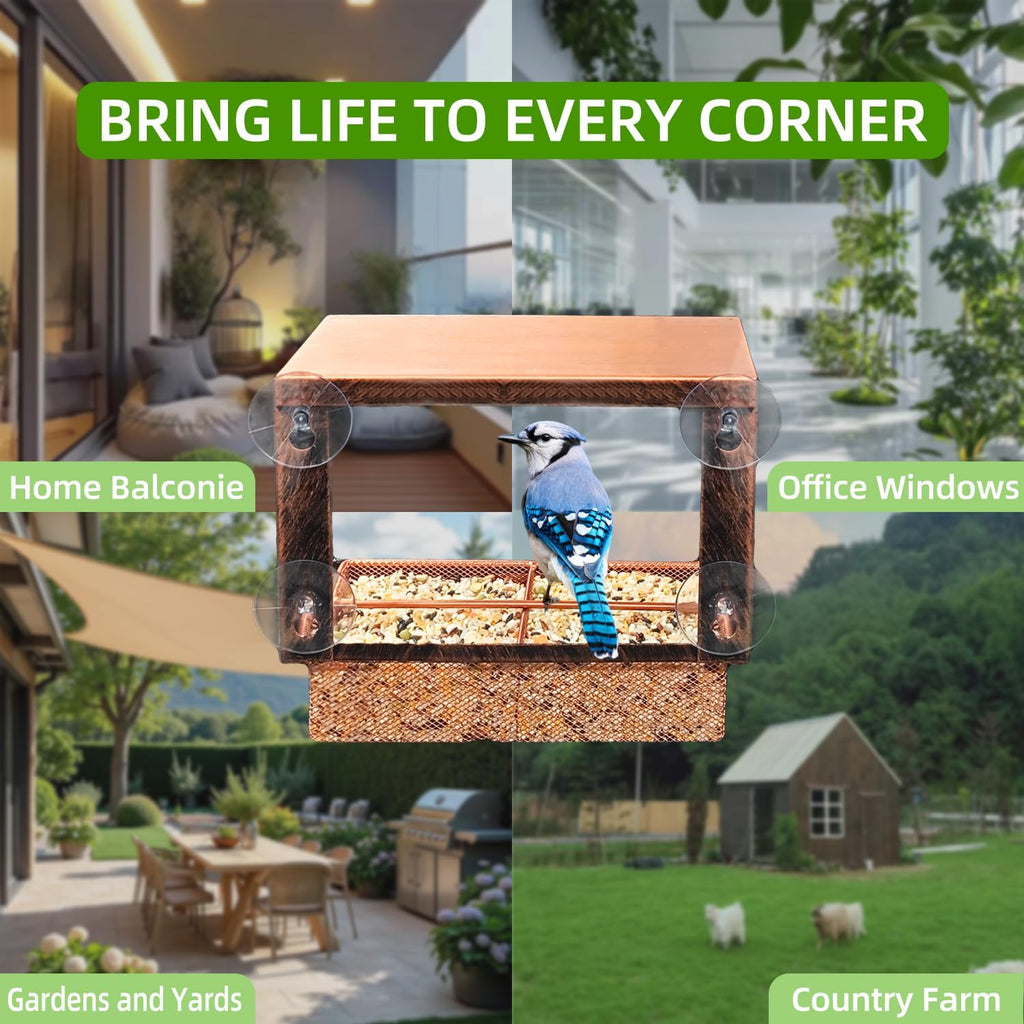 Window Bird Feeder Metal Bird Feeder for Outdoors Birdwatching