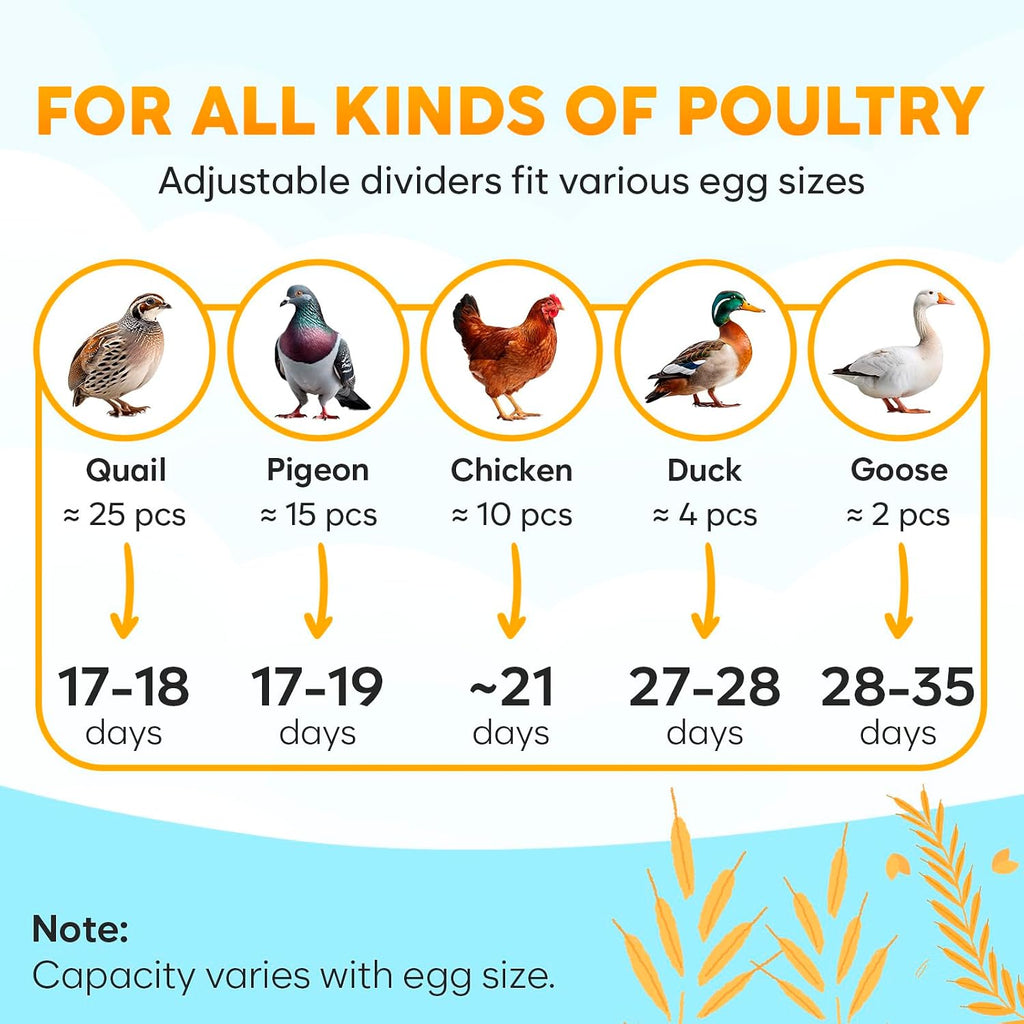 12 Egg Incubator with Automatic Egg Turning and Humidity Control – Egg Incubators for Hatching Eggs – Egg Candler