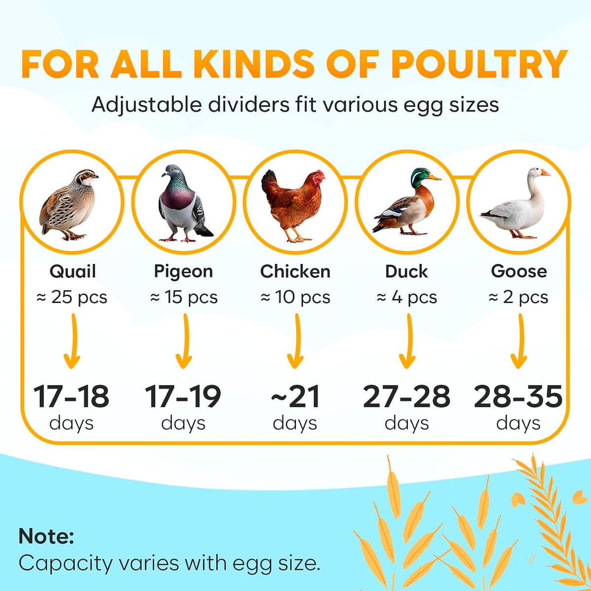 12 Egg Incubator with Automatic Egg Turning and Humidity Control – Egg Incubators for Hatching Eggs – Egg Candler