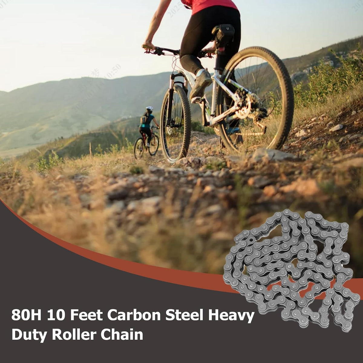 80H 10 Feet Roller Chain 120 Links with 1 Connecting Links