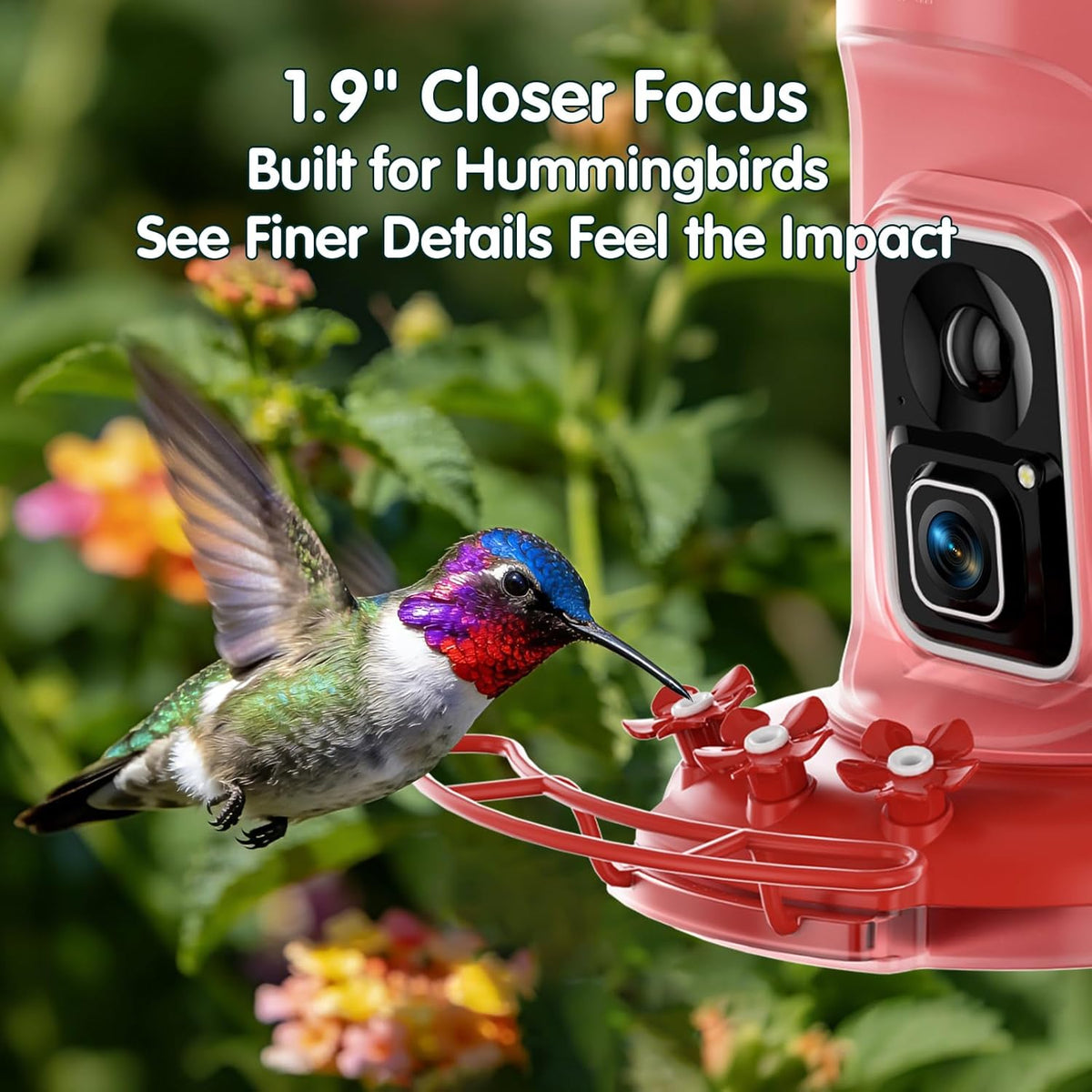 4K Hummingbird Feeder with Camera,No Subscription,Solar Powered