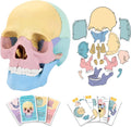 Human Skull Anatomy Model, 17-Part Puzzle with Flash Cards | 10 Knowledge Flash Cards, Detachable Palm-Sized Mini