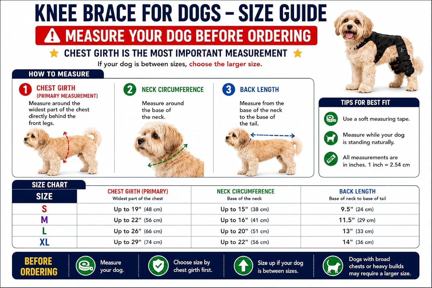 Dog Rear Knee Brace for Small & Medium Breeds, Adjustable Hind Leg Support for ACL/CCL Injury Recovery, Joint