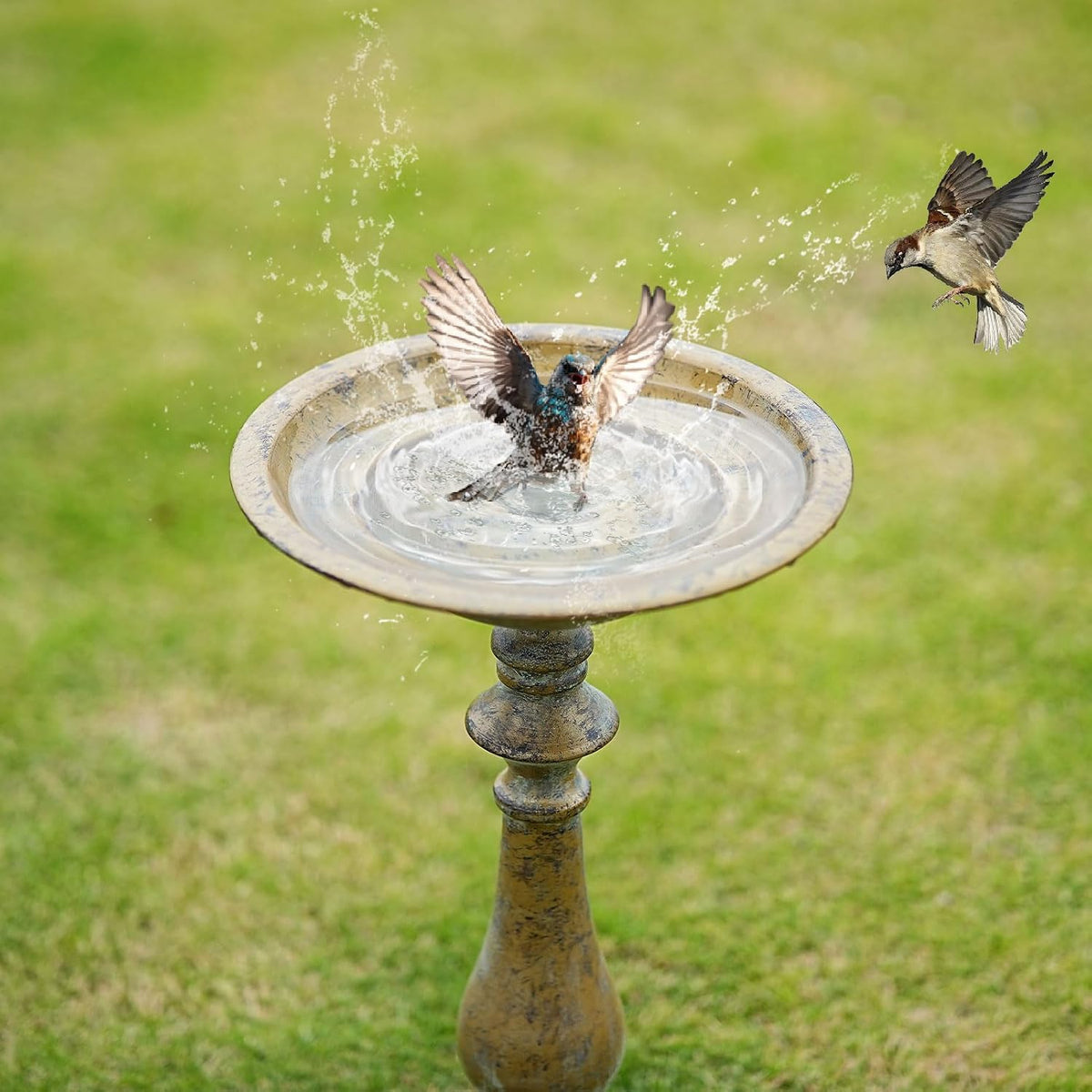 19"H Antique Pedestal Bird Bath for Outside ,Outdoor Garden Bird Bath