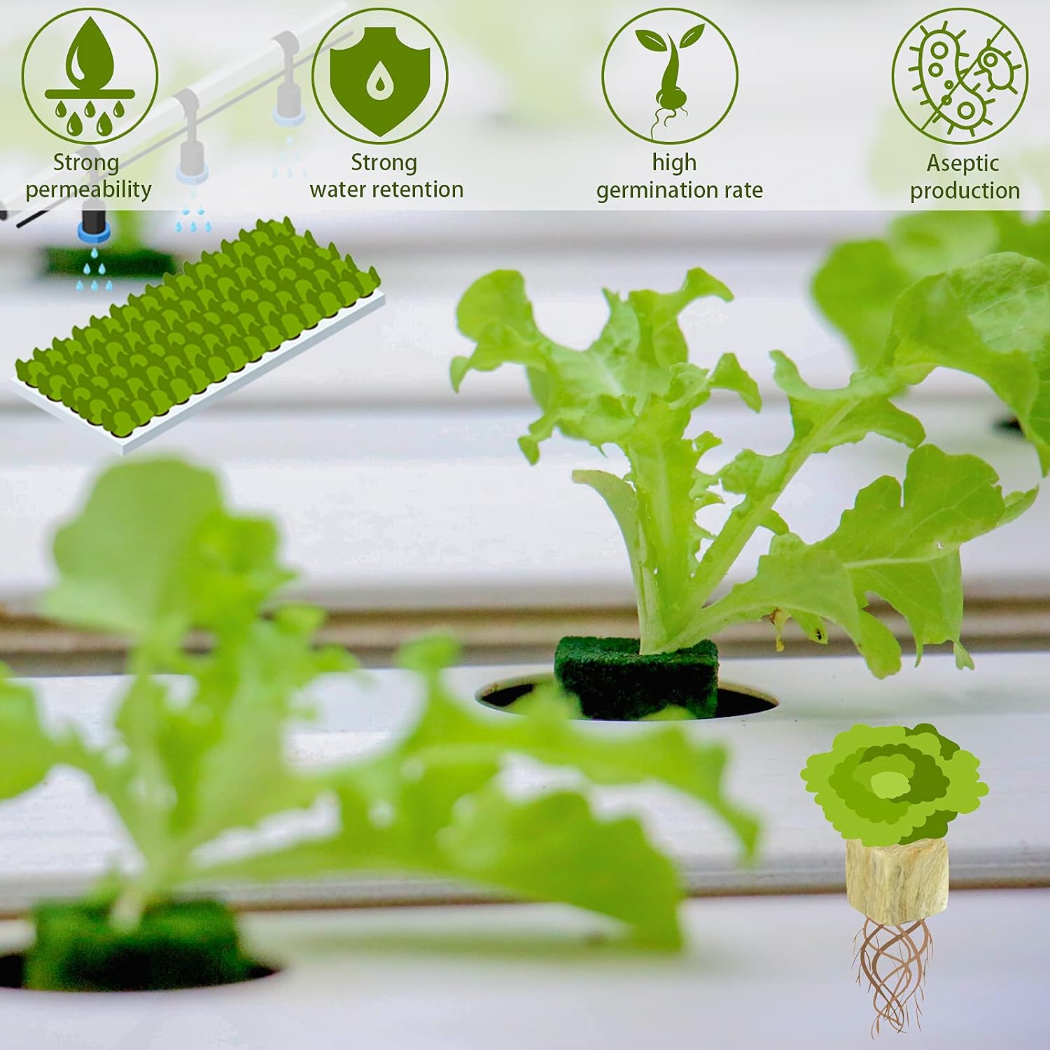 1 Inch Rockwool Cubes Seed Starter Plugs for Hydroponics, 300 Plugs | Promotes Germination Rate & Root Growth