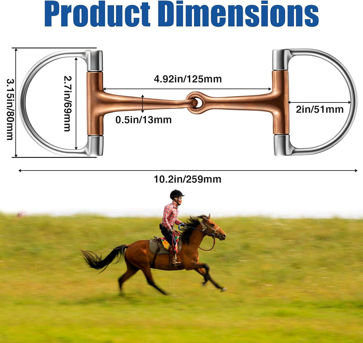Stainless Steel Ring O & d Snaffle Bit for Horses