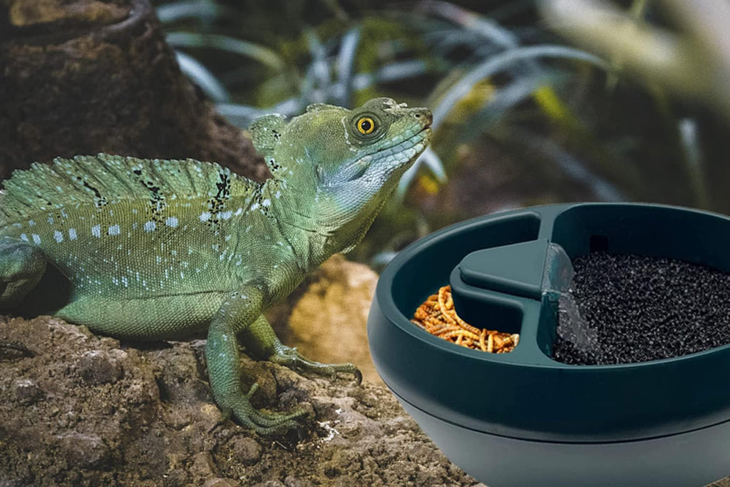 Reptile Chameleon Waterfall Drinking Fountain, Chameleon Water Dripper Food Bowl Water Cantina for Amphibians Insects