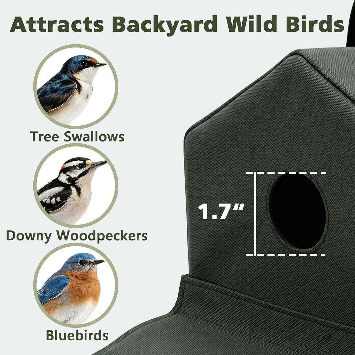 Bird Houses for Outside - Bluebird House with Wide Platform and 1.7in Hole