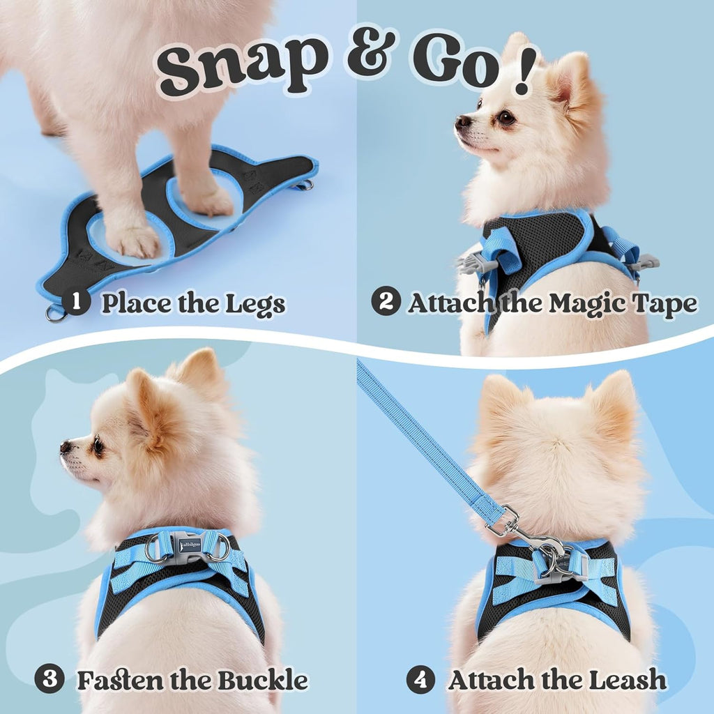 Dog Harness Small Sized and Leash Set, Step-in Breathable Pet Harness, Soft Walking Reflective Puppy Vest for Small