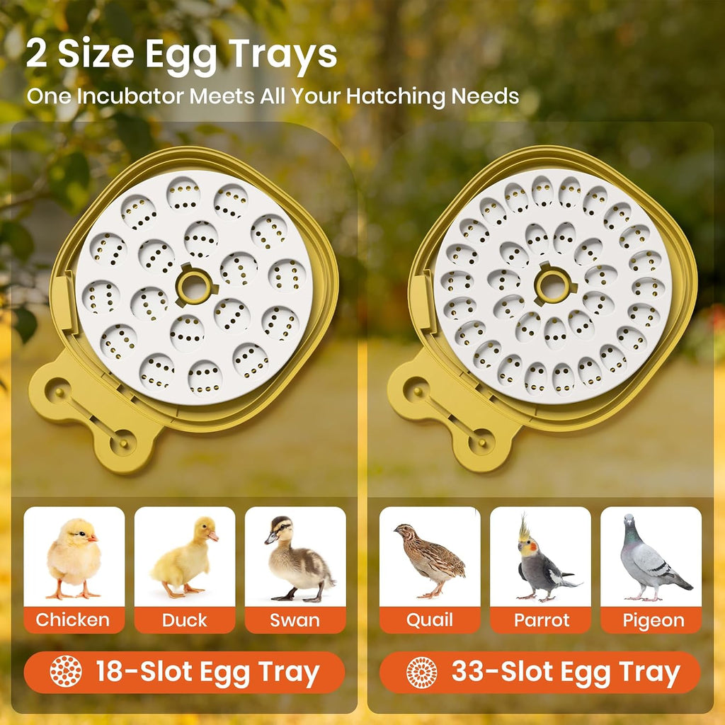 Egg Incubators for Hatching Eggs with Automatic Egg Turning & Humidity Control - 18/33 Egg Capacity, LED Display