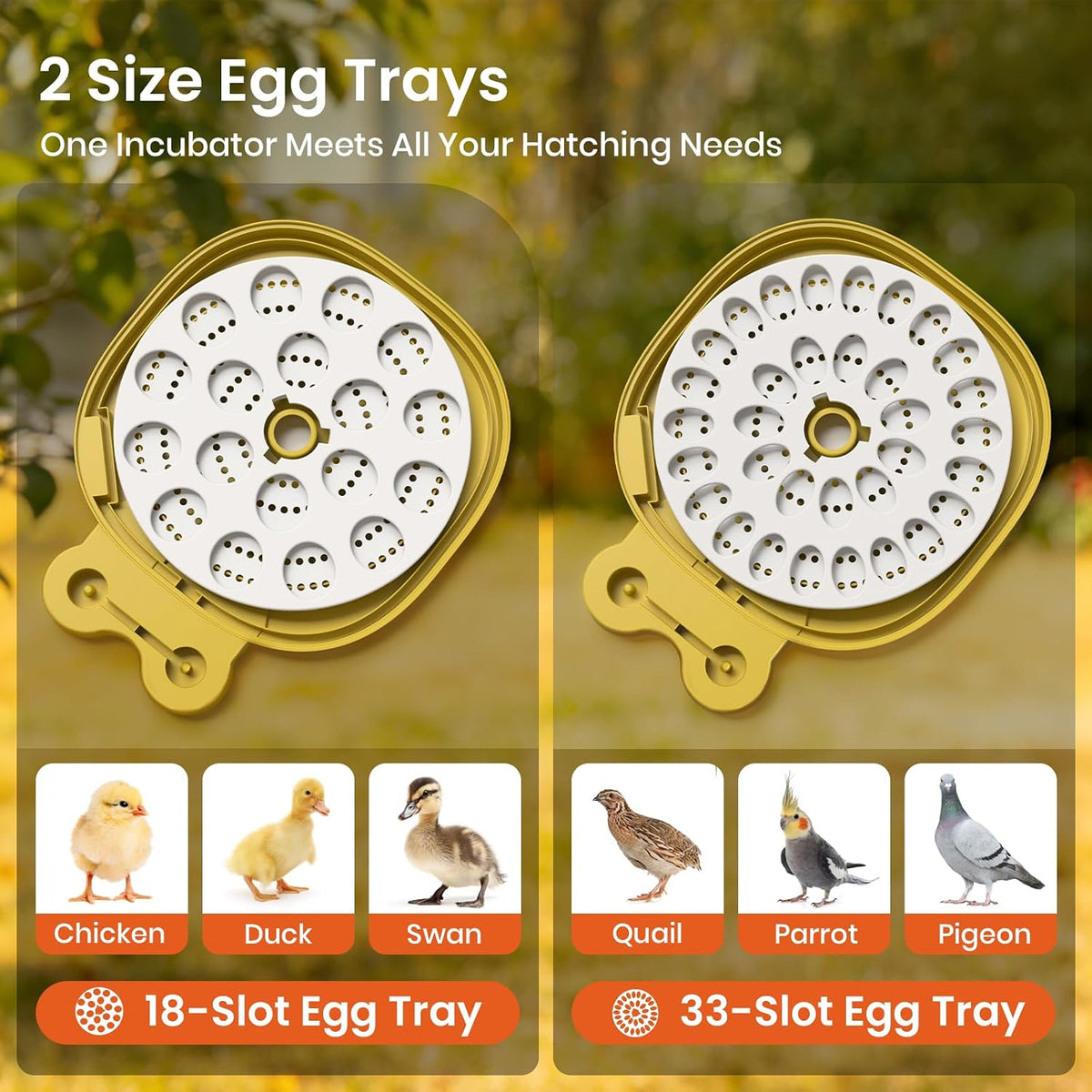 Egg Incubators for Hatching Eggs with Automatic Egg Turning & Humidity Control - 18/33 Egg Capacity, LED Display