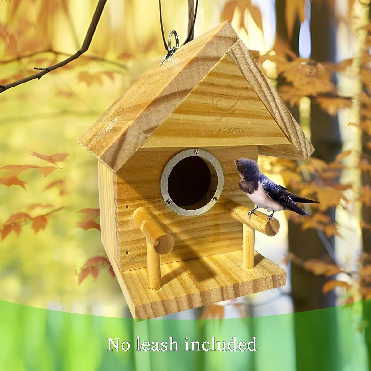 Bird Houses for Outside, Bird House Clearance with Metal Predator Guard for Bluebird Wren Swallow Finch, Cedar Wooden