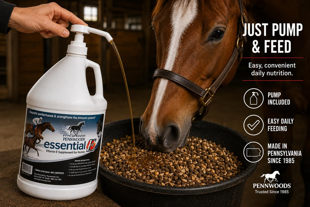 Essential E: Equine Vitamin E Horse Supplement, 1 Gallon