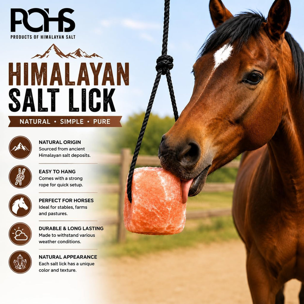 Himalayan Salt Lick on Rope 3 lb Each (Pack of 2) for Horses & Livestock – Natural Pink Mineral Salt Block - Salt