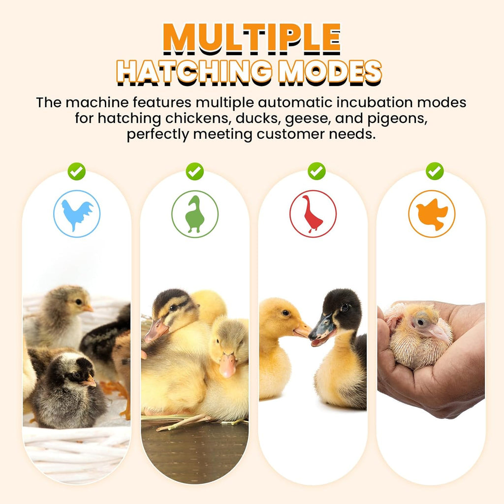 Cabinet Incubators for Hatching Eggs, 24 Egg Incubator