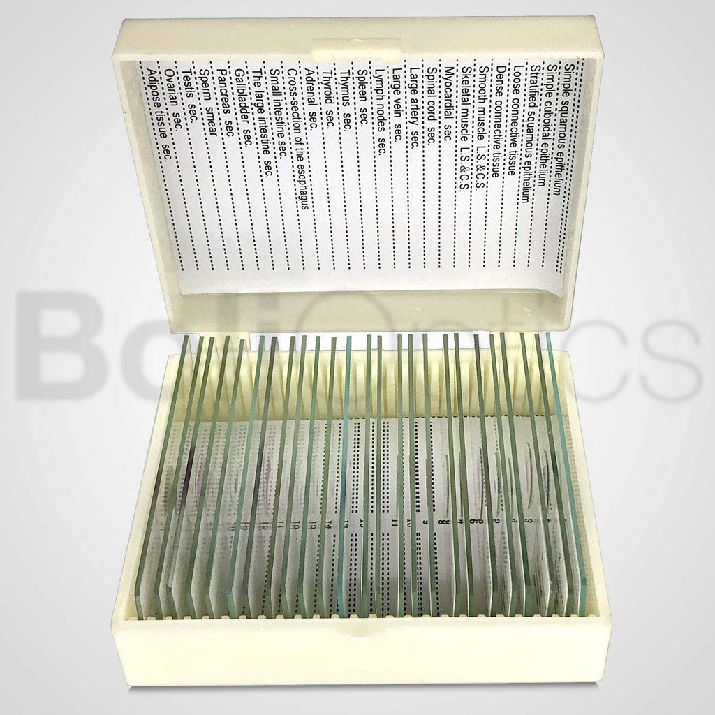 25 Prepared Microscope Slides Human Biology Specimen Set Human Anatomy Organ Tissue Cells for Students Hobbyists