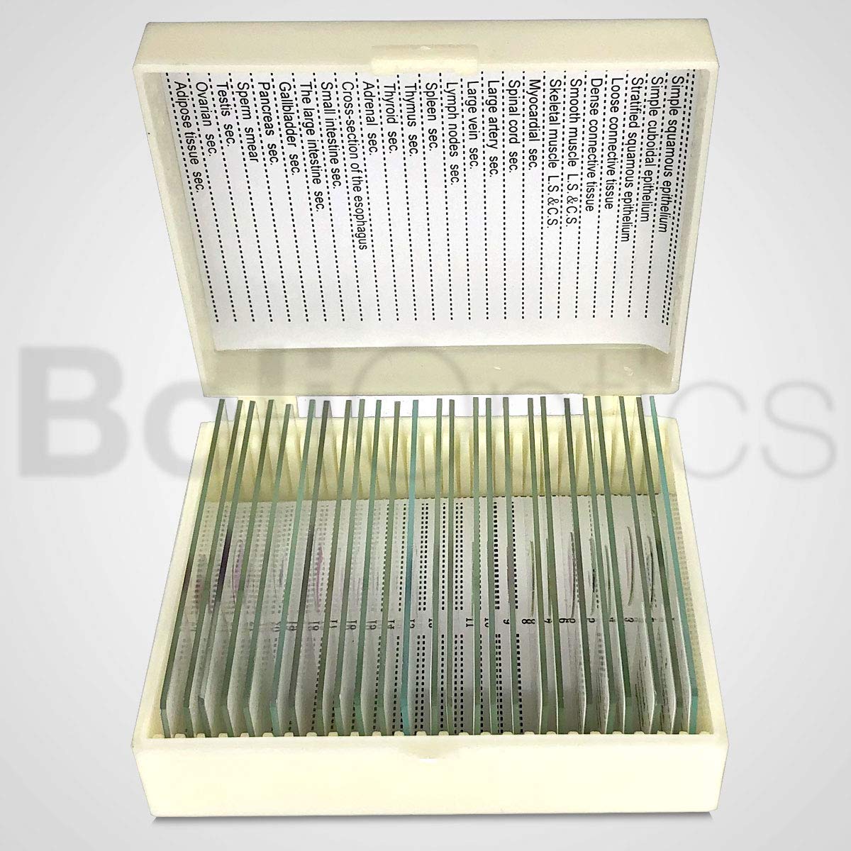 25 Prepared Microscope Slides Human Biology Specimen Set Human Anatomy Organ Tissue Cells for Students Hobbyists