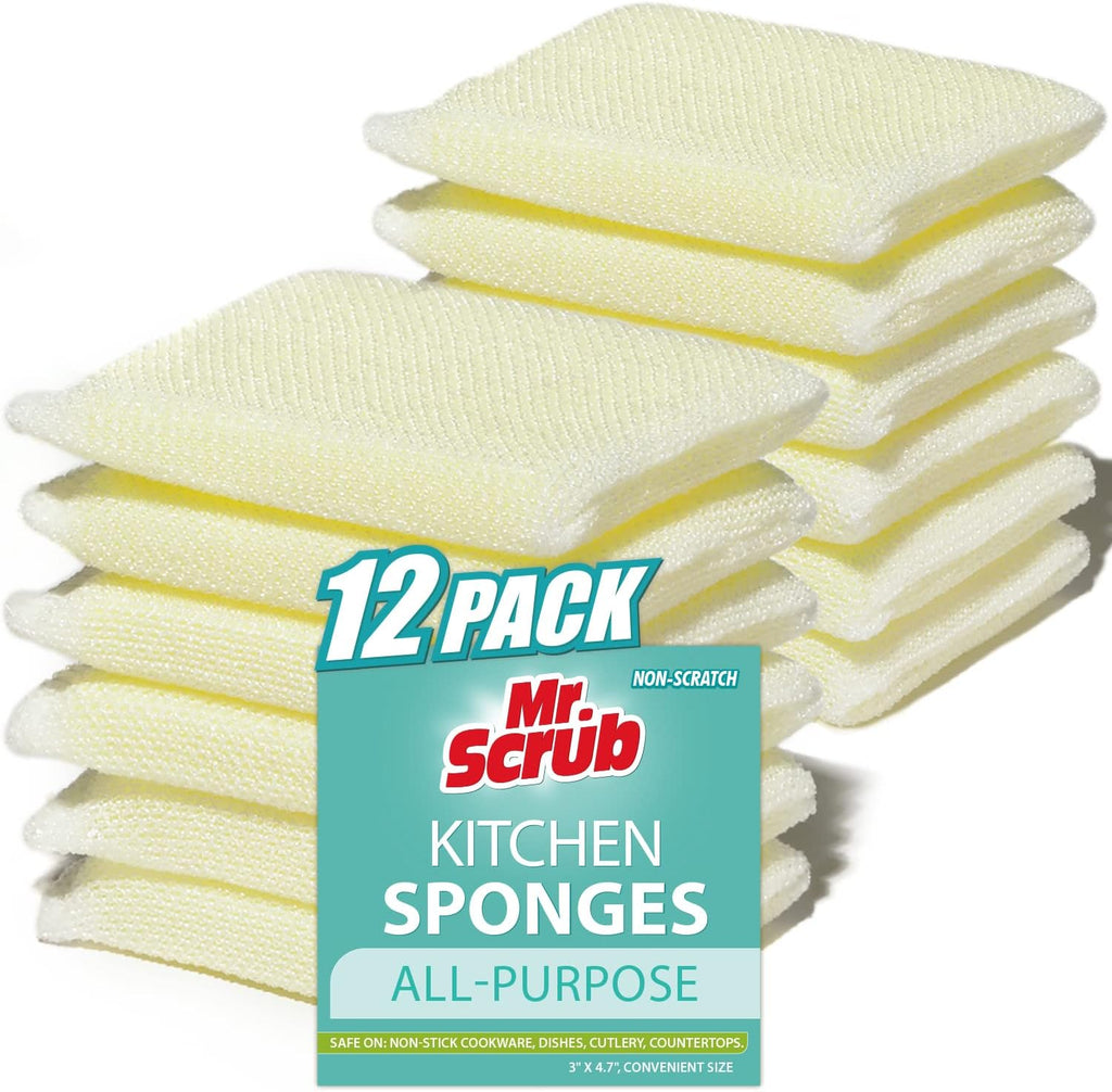 All-Purpose Sponges, Non Scratch