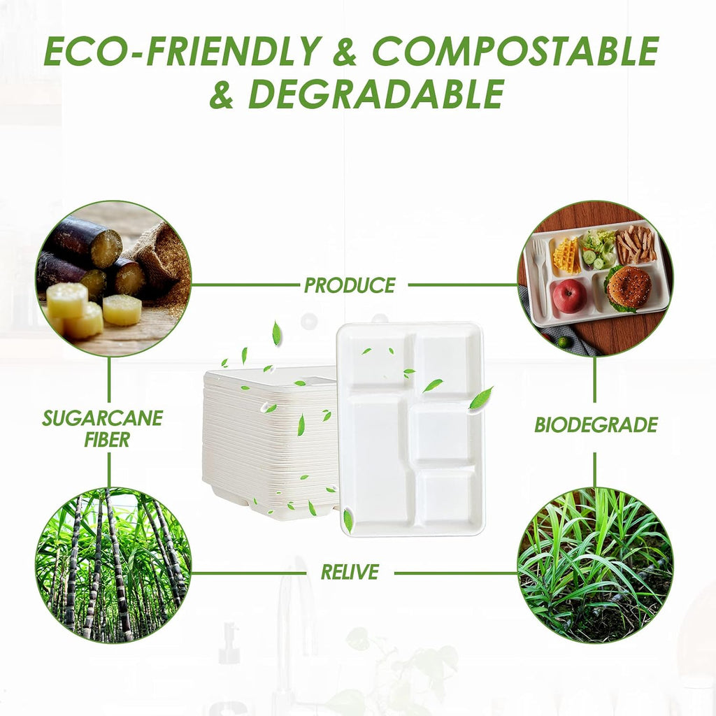 Compostable 5 Compartment Paper Plates, 100 Pack, 12.5 x 8.6 inch