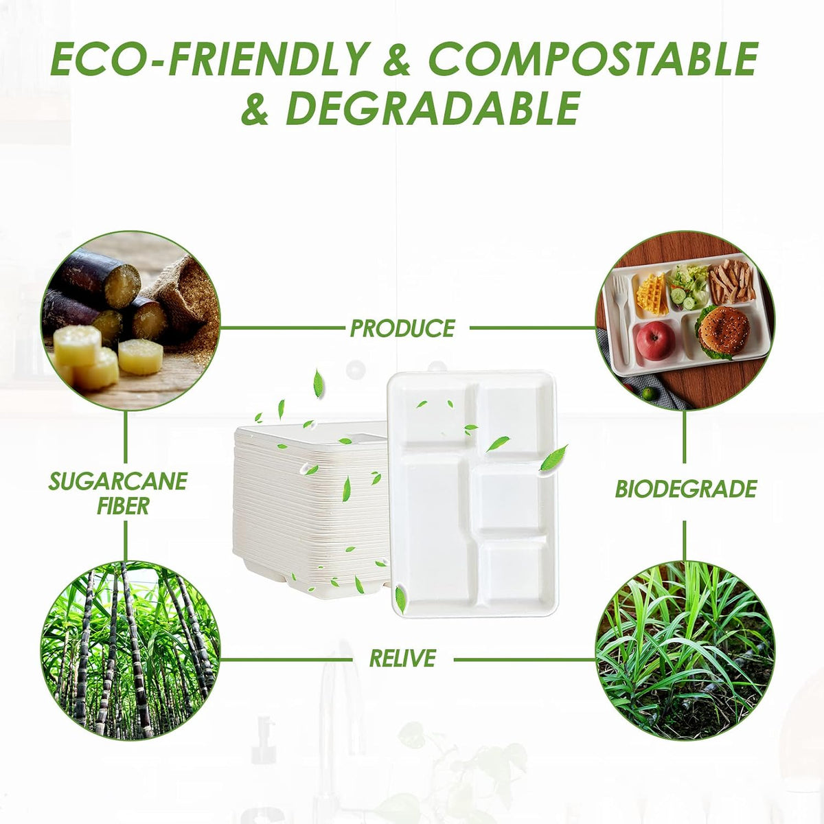 Compostable 5 Compartment Paper Plates, 100 Pack, 12.5 x 8.6 inch