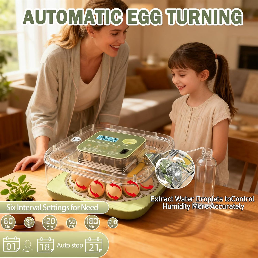Incubator for Hatching Egg, 12 Egg Incubators with Temperature and Humidity Control, Automatic Turner, Candler, 360°