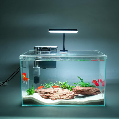10 Gallon Glass Small Fish Tank with Filter Light and Lid, Aquarium Starter Kit