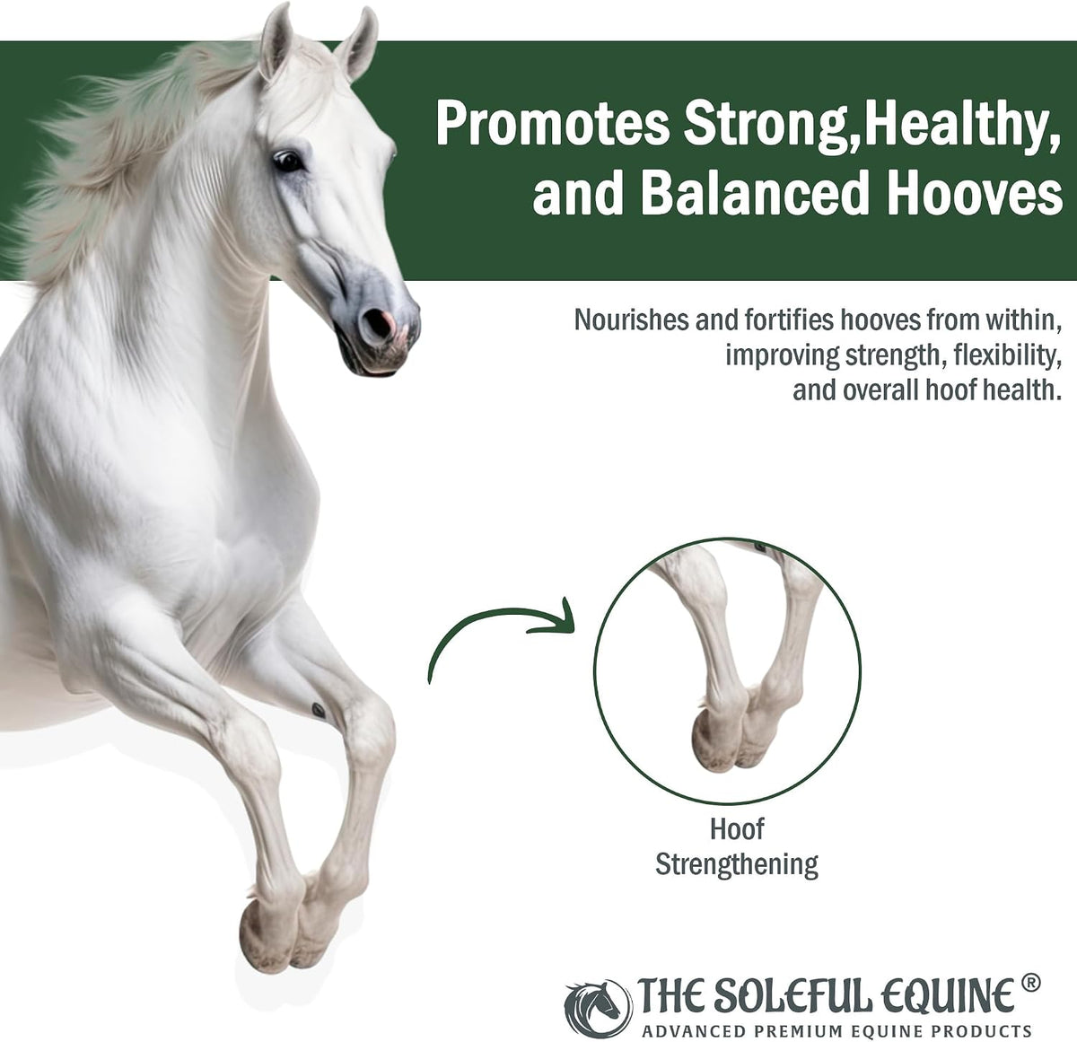 Hoof Oil, Horse Hoof White Line, Thrush, Abscesses, Overall Hoof Strength, Growth, Hoof Conditioning Rehydration.