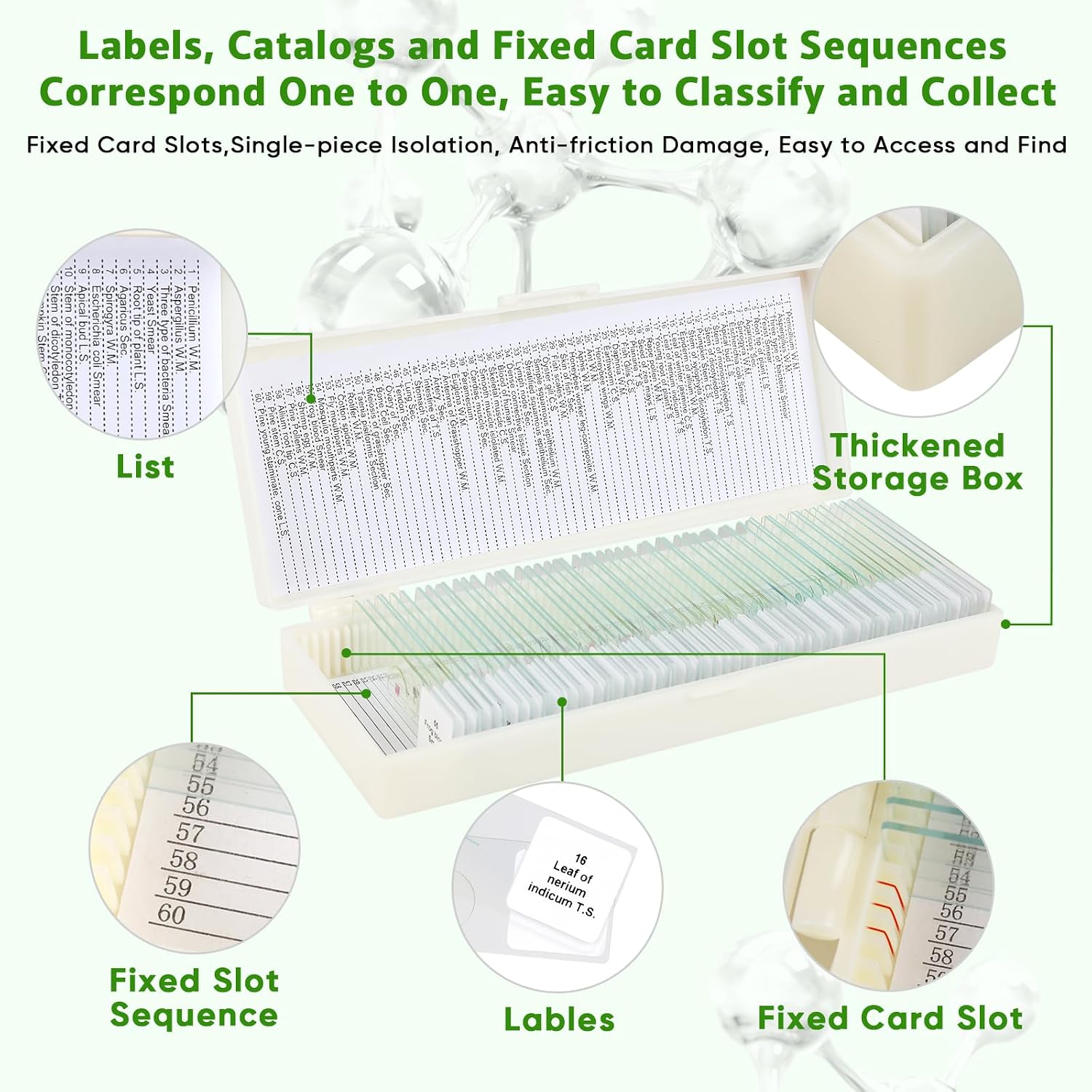 60 Microscope Slides with Specimens,Prepared Microscope Slides for Kids,Glass Slides for Microscope,Prepared Slides