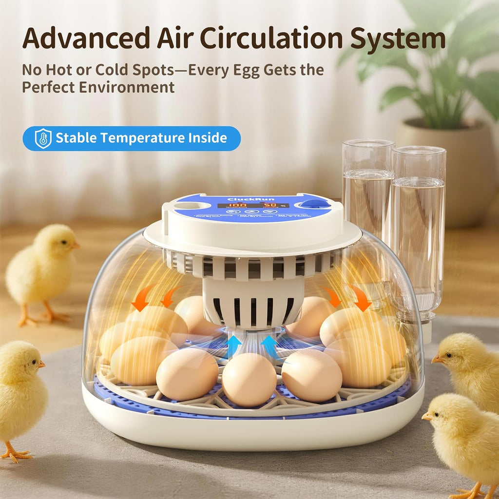 12 Egg Incubators for Hatching Eggs, Auto Turning, Temp & Humidity Control