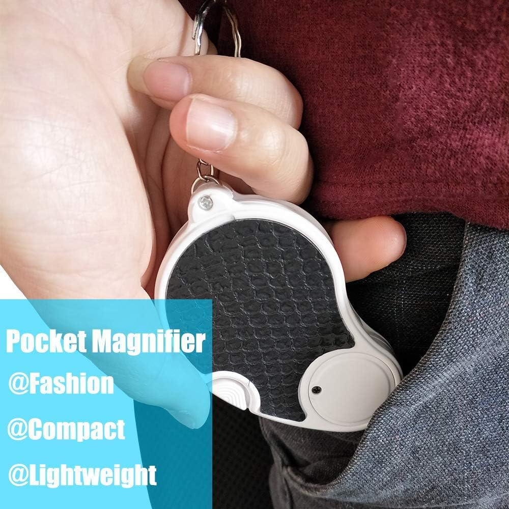 Magnifying Glass with Light, Lighted Magnifying Glass, Handheld Pocket Magnifier Small Illuminated Folding Hand Held