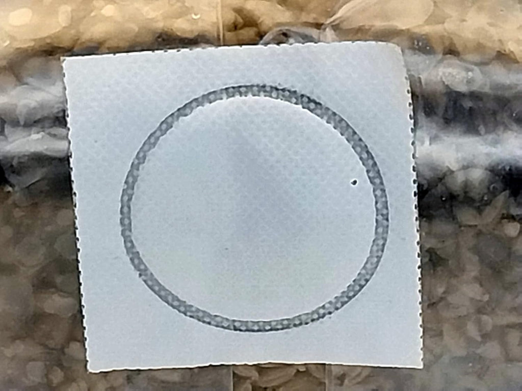 1lb Sterilized Rye Berry Grain Mushroom Substrate Bag for Mushroom Cultivation and Making Grain Spawn
