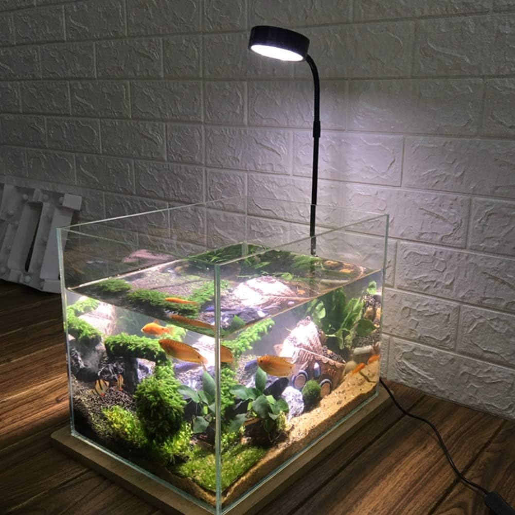 LED Aquarium Light for Under 5 Gallon Fish Tank 10W Full Spectrum