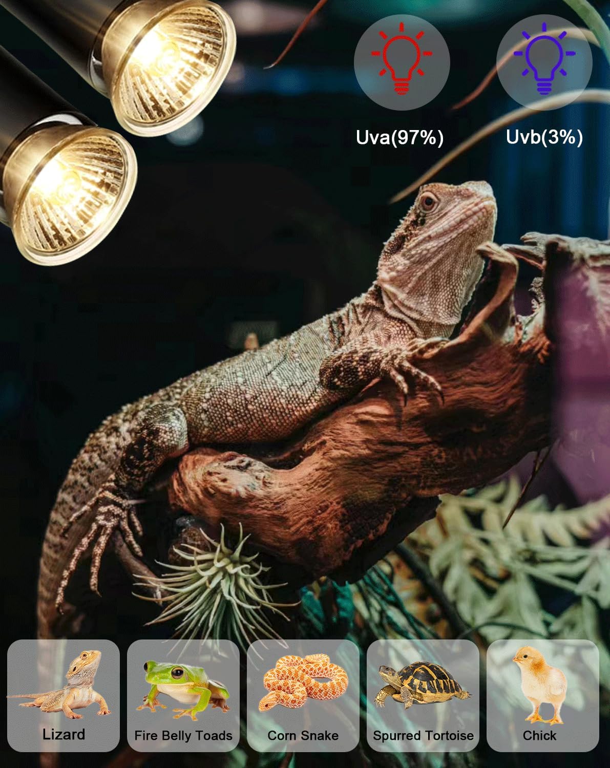 Turtle Reptile Heat Lamp Bulb 50W 120V,4Pcs Heat Bulb | UVA Reptile Light for Turtle Tank,Fits Reptiles and Amphibian