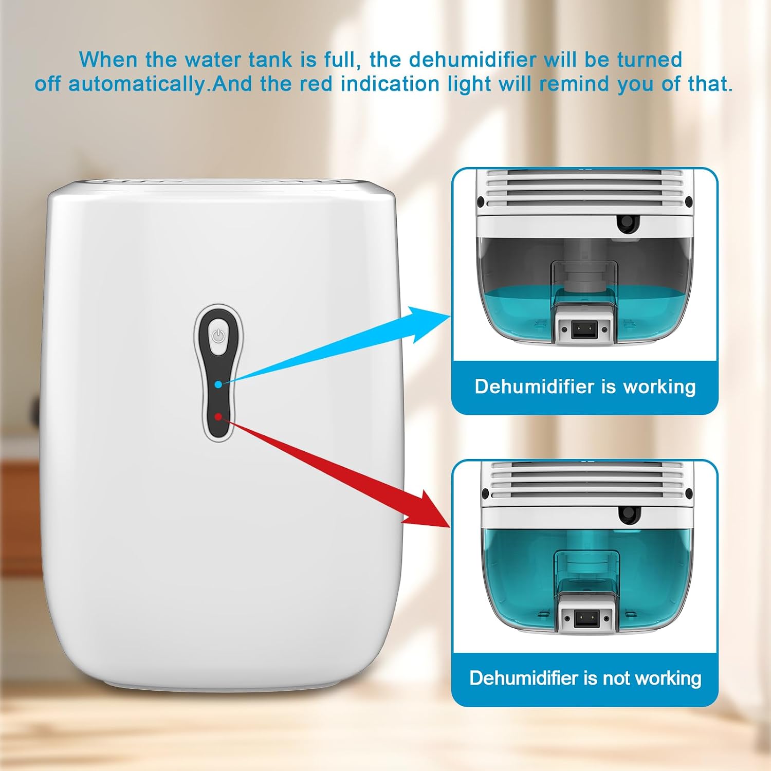 Dehumidifier with Drain Hose. Litever Small Portable Dehumidifier. Auto-OFF. Drain Hose for Continuous Drainage.