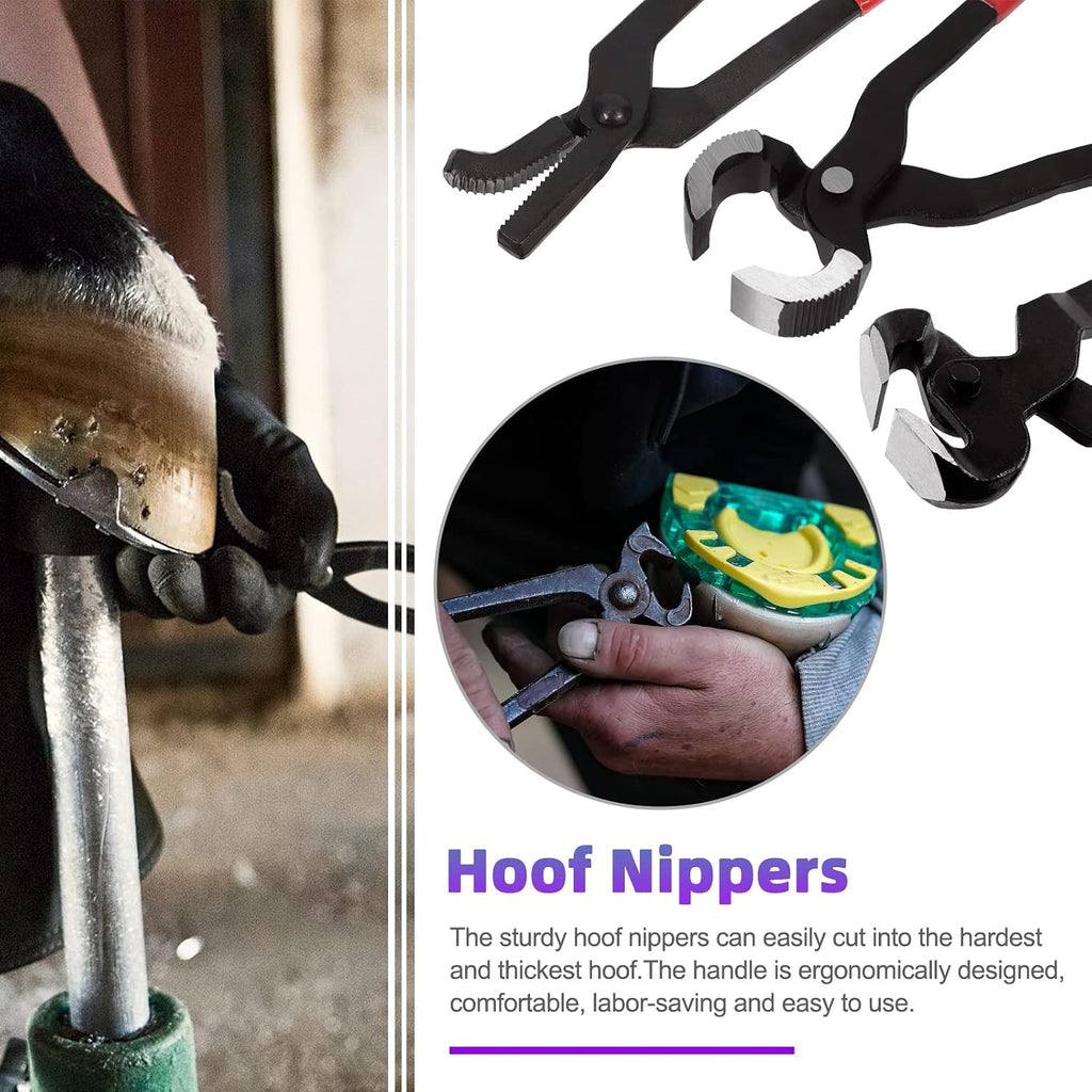12Pcs Professional Farrier Tools with Roll Pack, Horses Hoof Trimmers Shears, Farrier Rasp File, Hoof Nipper