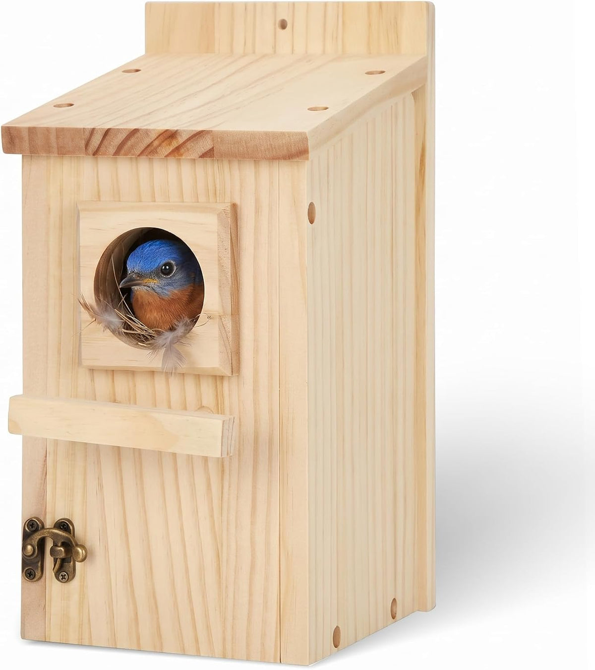 Bird Houses for Outside, DIY Bird House Kit, Blue Birdhouses for Outdoors