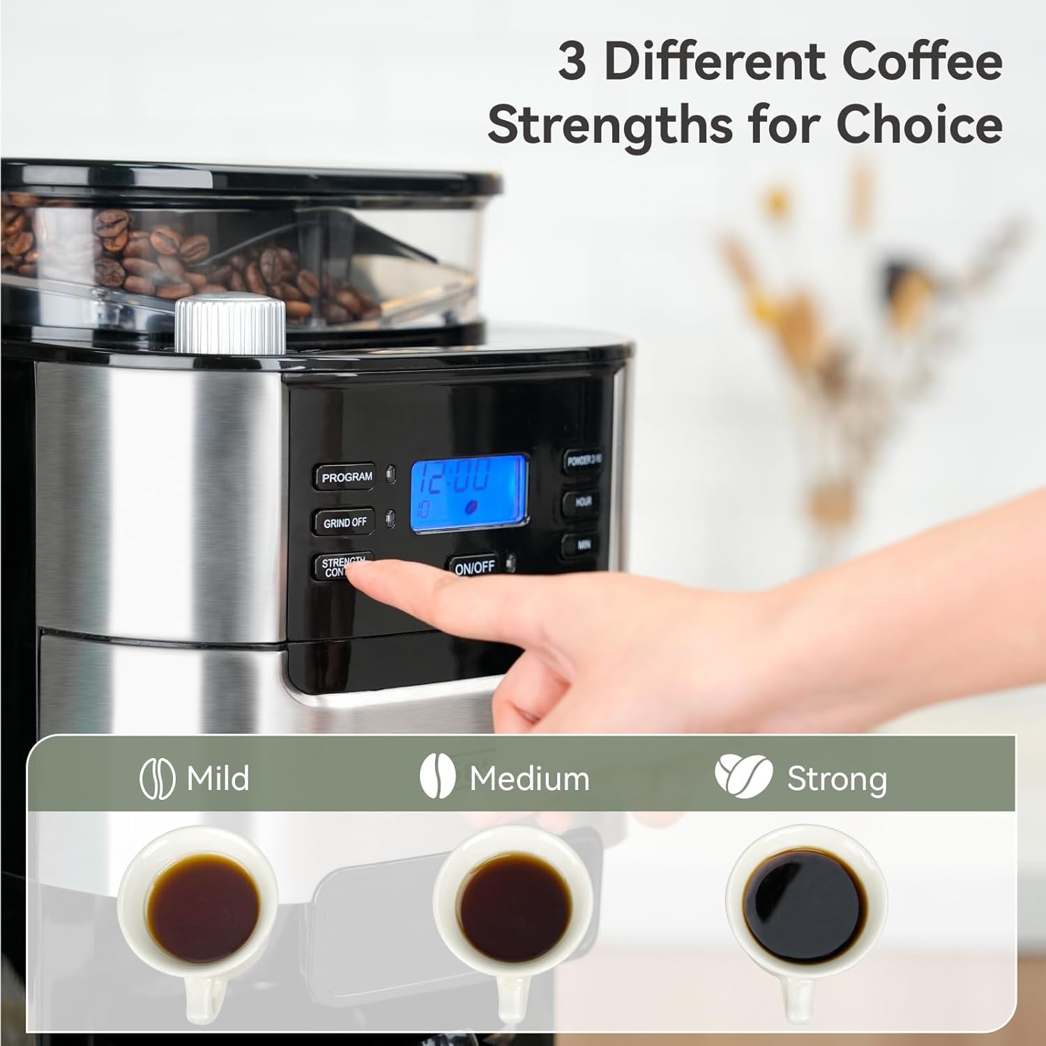 All In One 10-Cup Grind & Brew Coffee Maker with Built-In Burr Grinder | 24-Hour Programmable Timer, 1.5L Water Tank