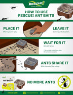 Ant Baits - 2 Pack - 8 Bait Stations
