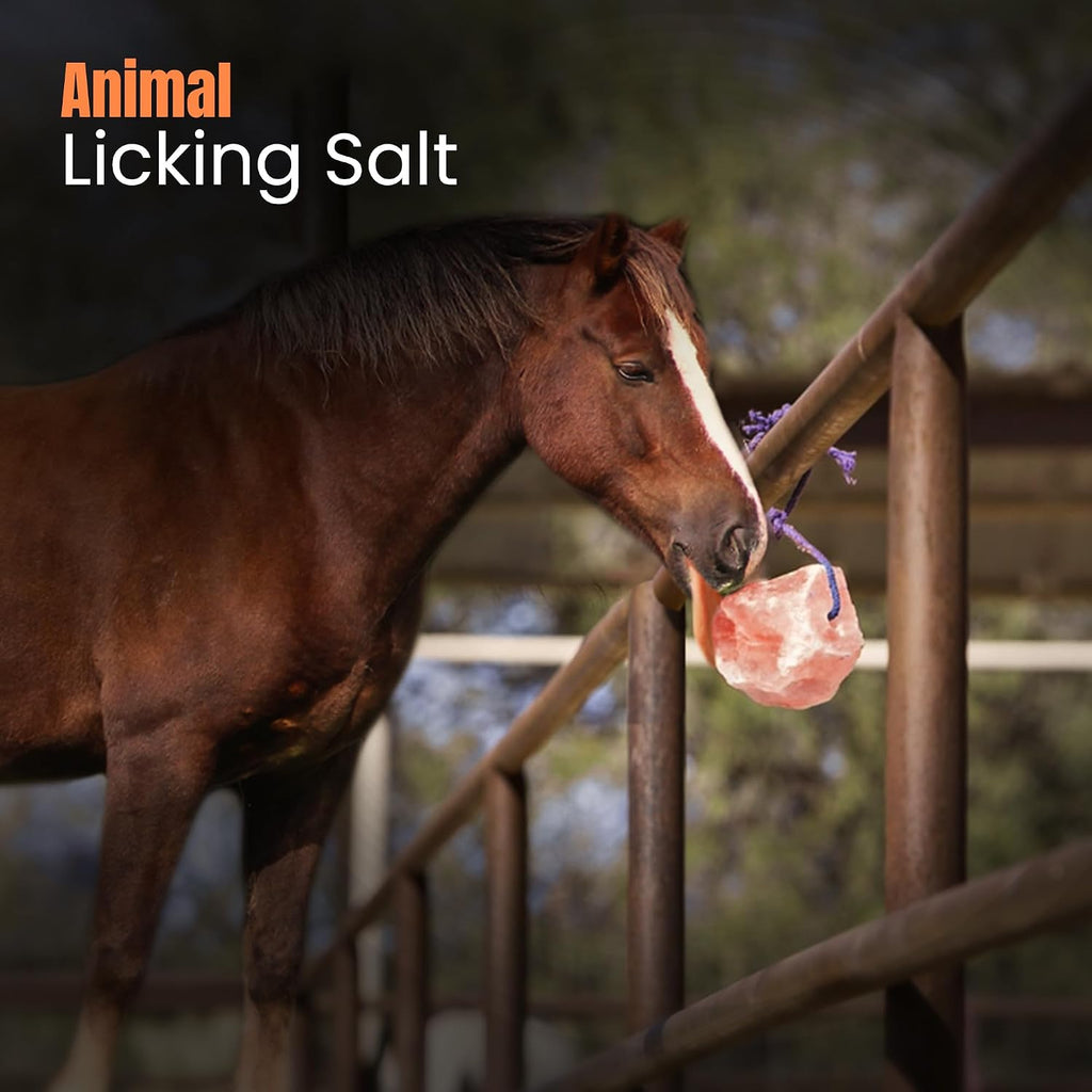 5–6 lbs Salt Lick for Horses Natural Mineral Block for Horses and Livestock